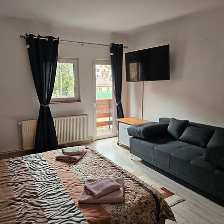Villa Foisor Buşteni 外观 照片