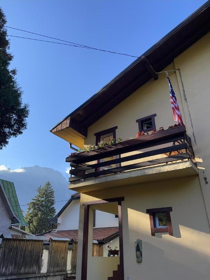 Villa Foisor Buşteni 外观 照片