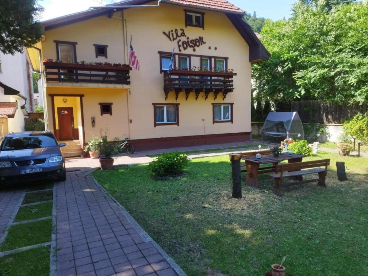 Villa Foisor Buşteni 外观 照片