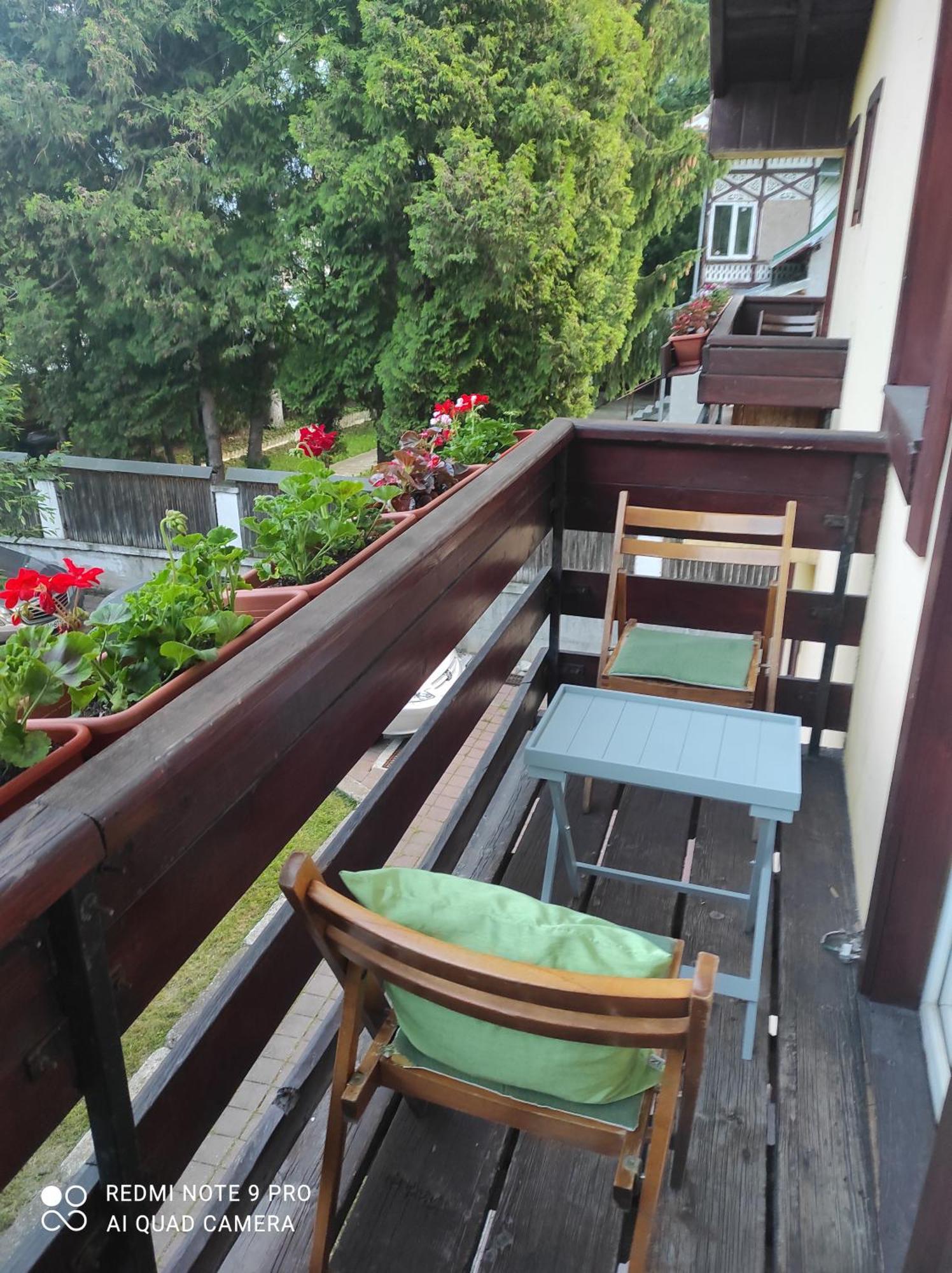 Villa Foisor Buşteni 外观 照片