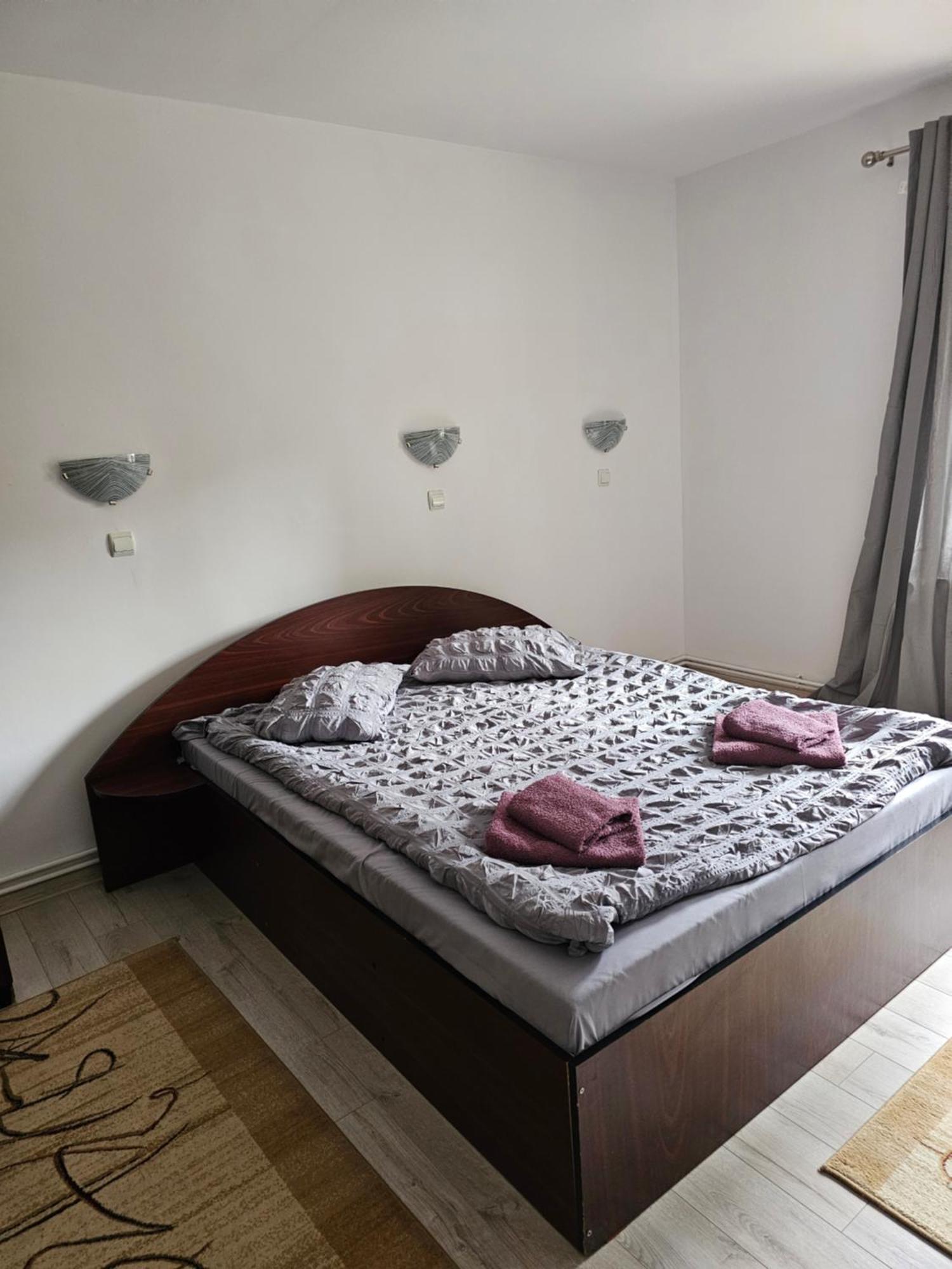Villa Foisor Buşteni 外观 照片