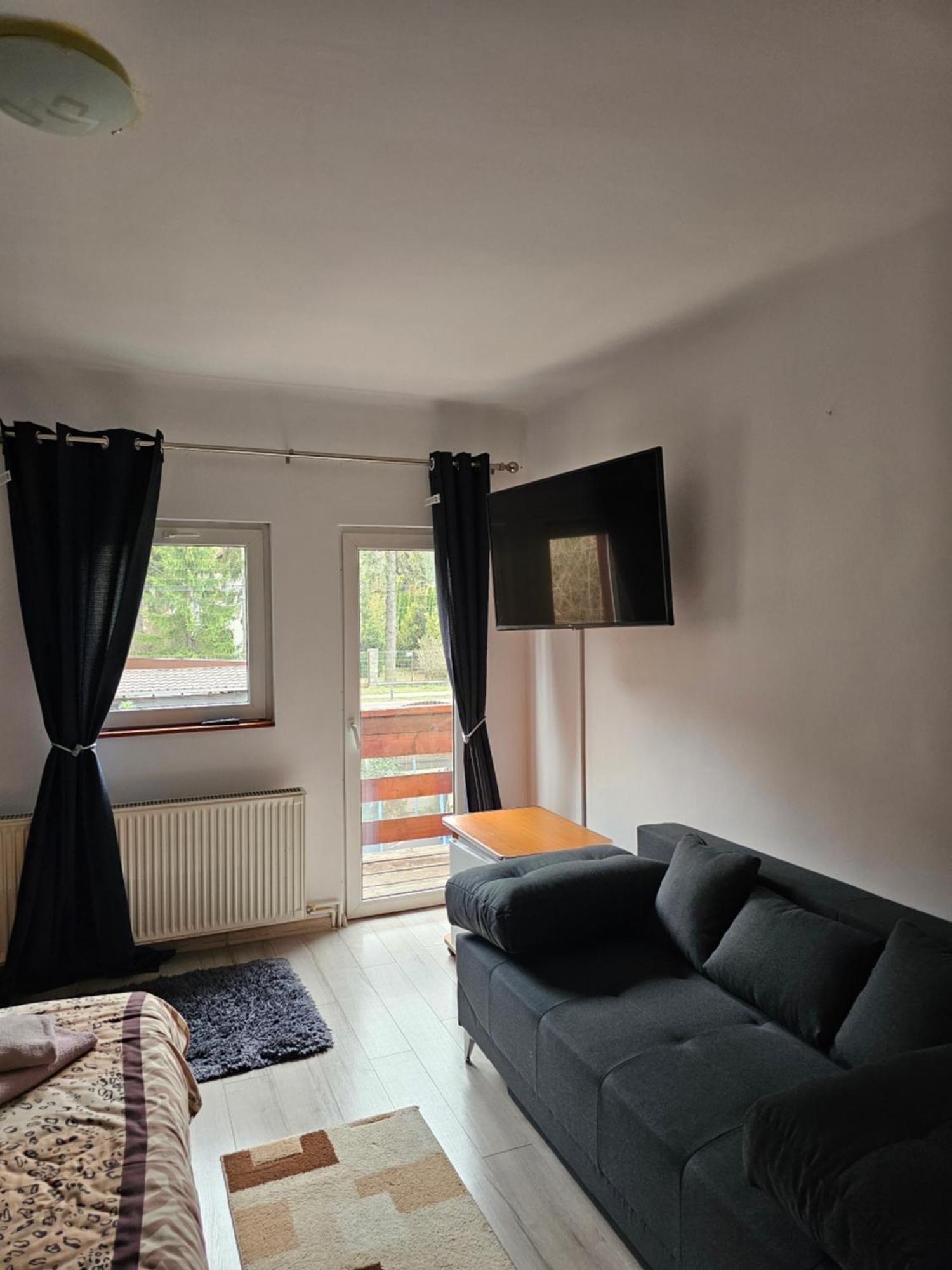 Villa Foisor Buşteni 外观 照片