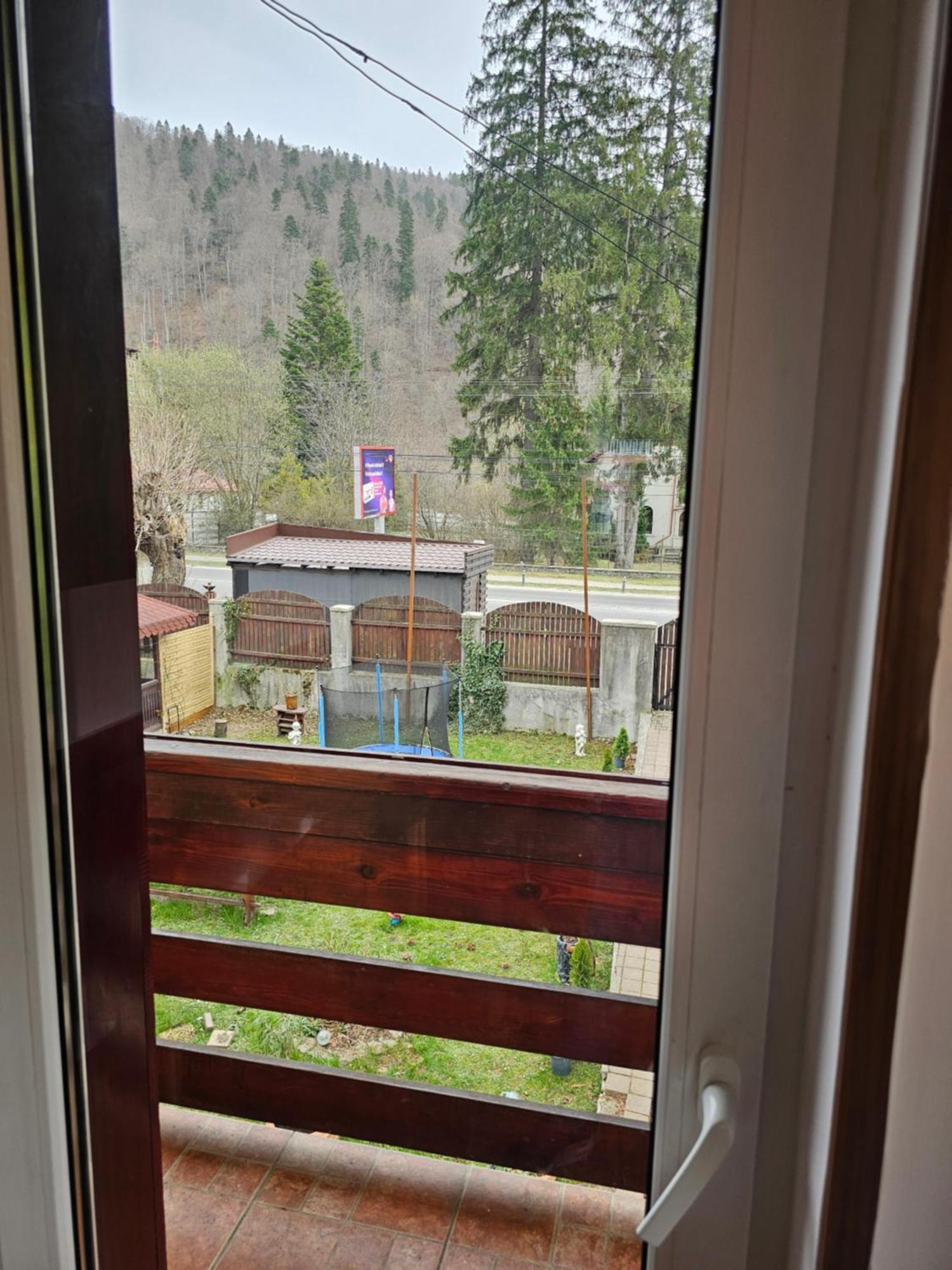 Villa Foisor Buşteni 外观 照片